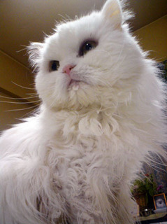 2015_2.jpg